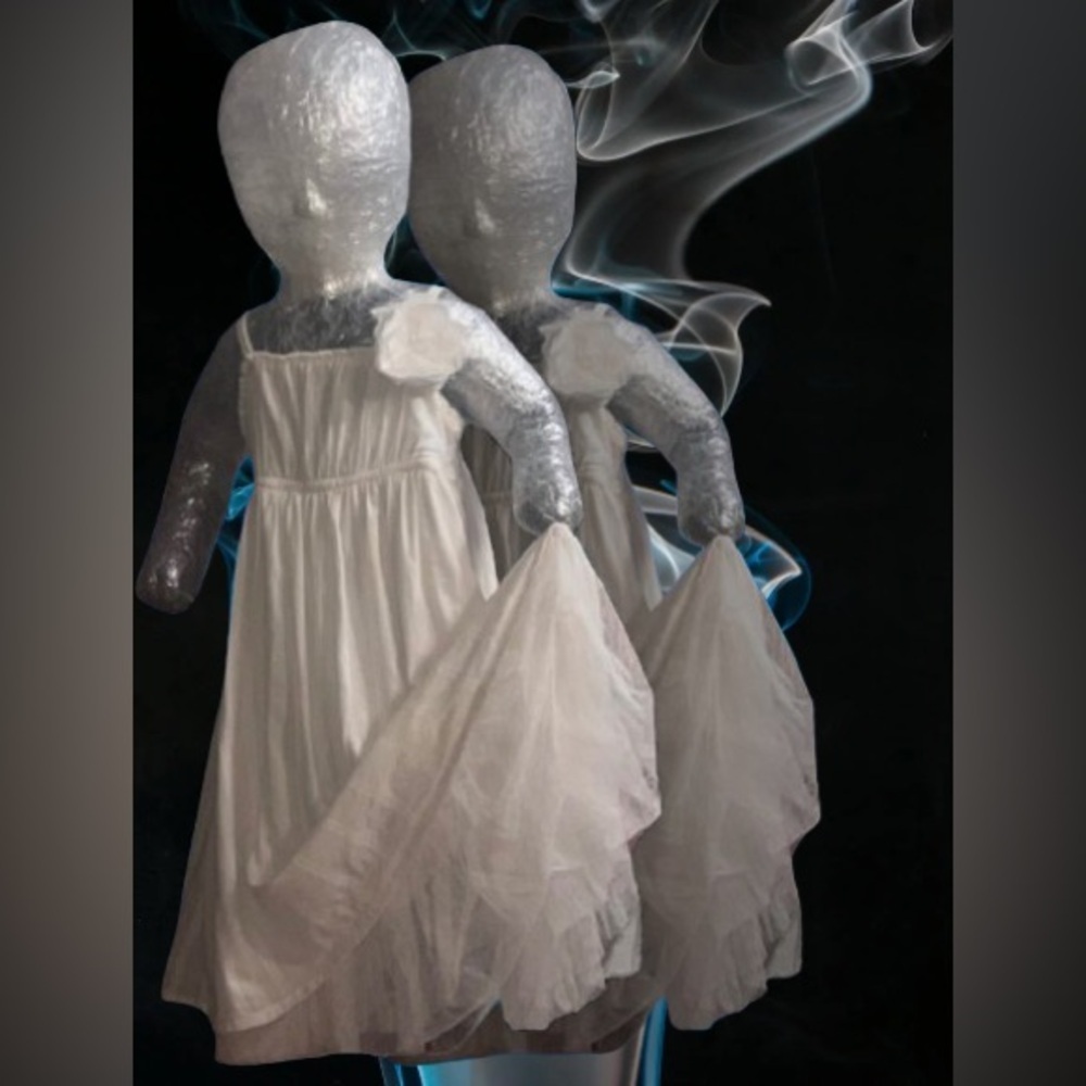 Baby Gap white flowy tulle-layered dress girls sz 4yrs